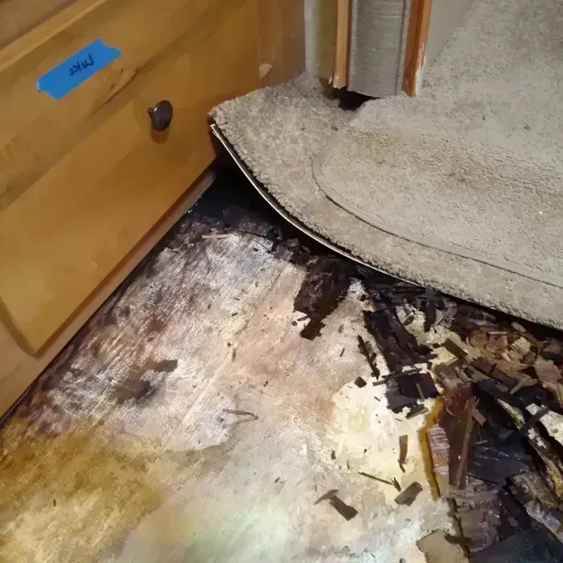 Wood Floor Water Damage in Morgan Park, IL